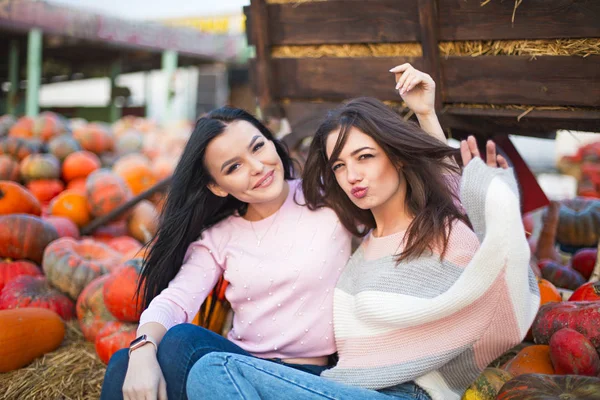 Modieuze mooie jonge vriendinnen samen in de herfst p — Stockfoto
