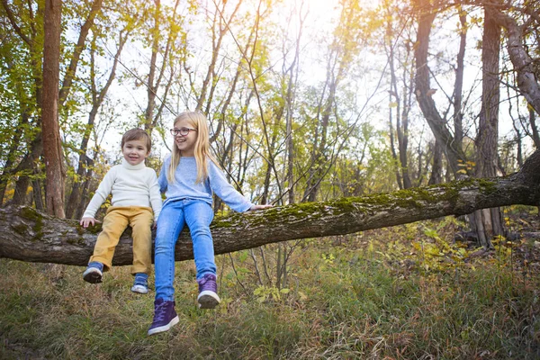 Broertje en zusje zitten in de herfst aan de boom — Stockfoto