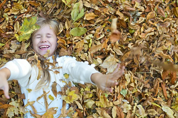 Çocuk sonbahar parkında oynuyor. Sarı ve kırmızı yapraklar atan çocuk. — Stok fotoğraf