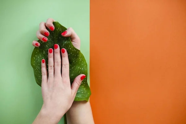 Yeşil Bitki Yaprağı Olan Isimsiz Bir Kadının Üst Görüntüsü Renkli — Stok fotoğraf