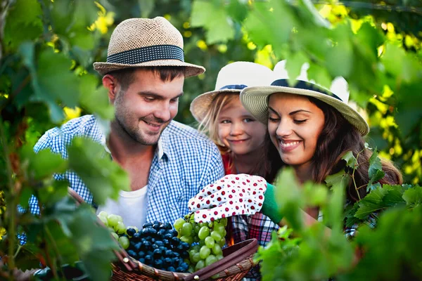 穿着休闲装头戴帽子 头戴绿黑相间的邪恶篮子的快乐的年轻家庭 在葡萄园度过夏天的时候看着相机 — 图库照片