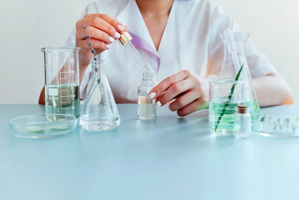 Mujer Examinando Planta Verde Laboratorio Cerca Belleza Ciencia — Foto de Stock