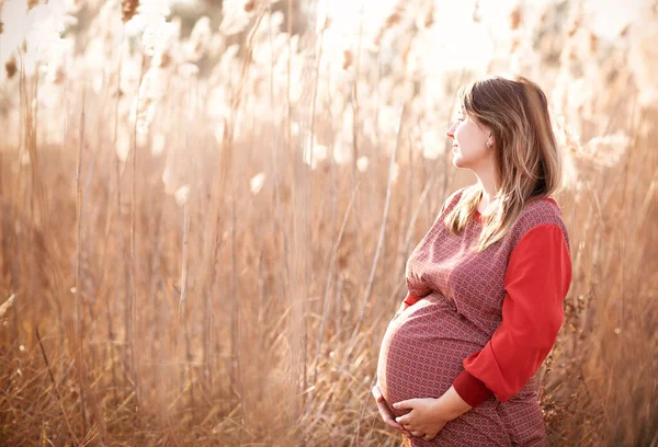 Jonge Mooie Zwangere Vrouw Buiten Bij Zonsondergang Het Veld — Stockfoto