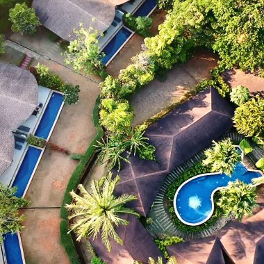 Güneşli bir günde, palmiye ağaçlarının tepesinden ve yeşil bahçedeki binaların çatısından