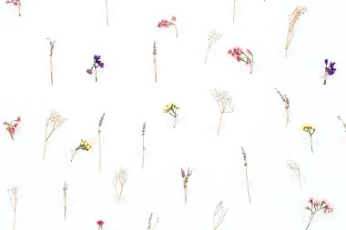 Çiçek deseninden yapılmış bir arka plan. Duvara yapıştırıcı sıvanmış taze doğal çiçekler. Kavram arkaplanı