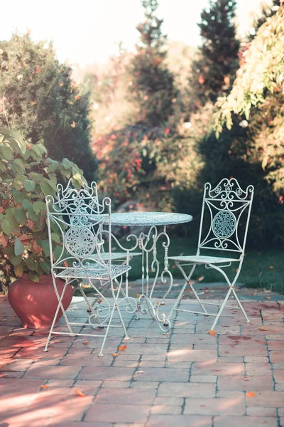 背景に秋の木を持つ粘土花瓶に緑の植物と舗装されたテラスでヴィンテージ金属庭園の椅子とテーブル — ストック写真