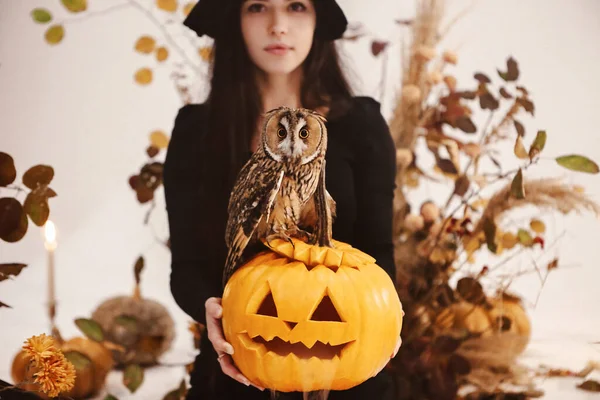 Красивая Брюнетка Жутком Черном Костюме Ведьмы Студии Украшениями Хэллоуин — стоковое фото