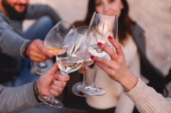 Cheerful Adult Women Men Casual Clothes Toasting Wineglasses Resting Together — Stock Photo, Image