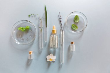 Modern laboratuardaki çeşitli cam mataralardan ve şişelerden, taze bitkilerle birlikte.