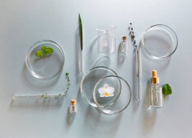 Modern laboratuardaki çeşitli cam mataralardan ve şişelerden, taze bitkilerle birlikte.