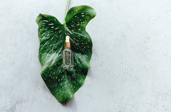Bovenaanzicht Van Gezichtsserum Glazen Fles Met Pipet Geplaatst Groen Blad — Stockfoto