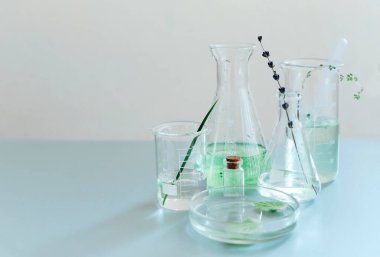 Modern laboratuardaki yeşil bitkilerle düzenlenmiş çeşitli cam şişeler ve mataralar.