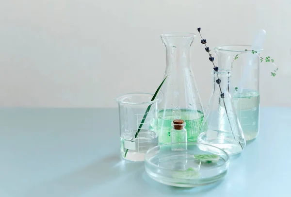 Różne Szklane Butelki Kolby Ułożone Zielonych Roślin Stole Nowoczesnym Laboratorium — Zdjęcie stockowe