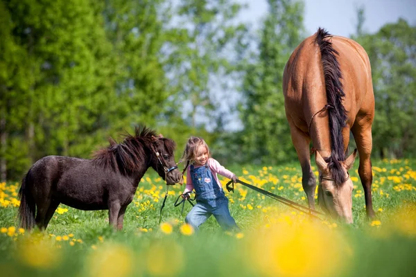 Маленька Дівчинка Грає Двома Конями Полі Дитина Стоїть Разом Великим Стокове Зображення