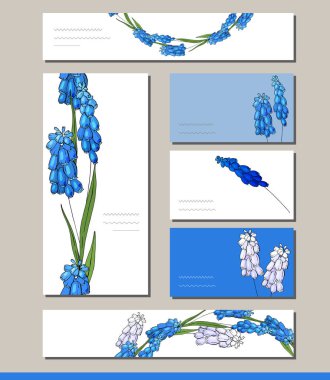 Muscari visitcards ve tebrik şablonları ile ayarla
