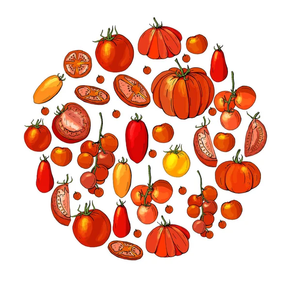 Como cultivar tomates. Vegetais frescos isolados, tipos diferentes. Alimentos feitos de tomate — Vetor de Stock