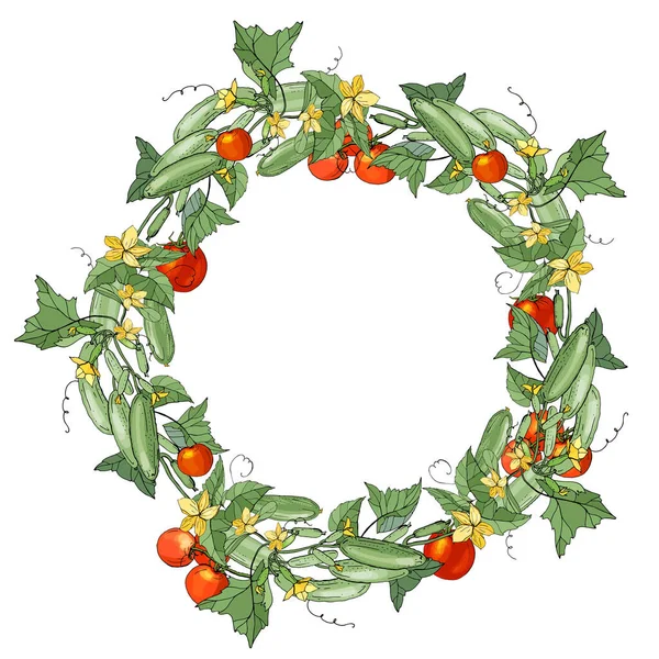 圆形框架与生长的番茄和黄瓜 节庆花圈为您的季节设计 — 图库照片