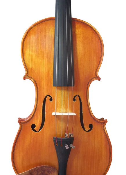 Violon Isolé Sur Blanc Instrument Musique Classique Bois — Photo