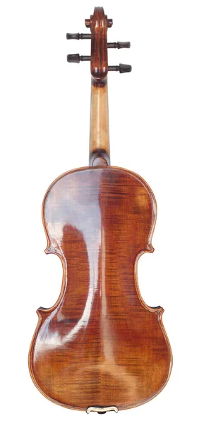 Violin Back Isolated White — Stock Photo, Image