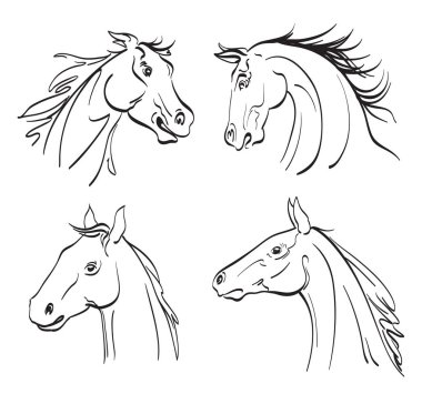 Beyazın üzerine at kafası çizimleri. vektör illüstrasyonu