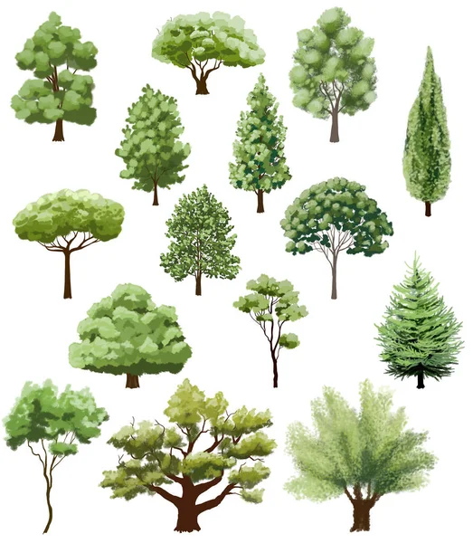 Various Types Trees White Hand Drawn Illustration — Stock Photo, Image