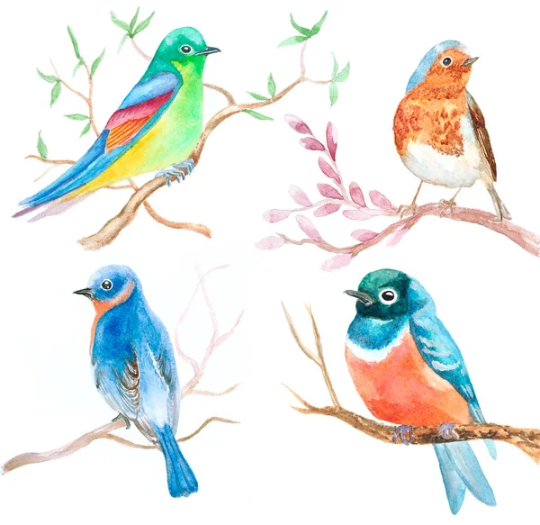 Set Watercolor Birds Spring White — Stock Photo, Image