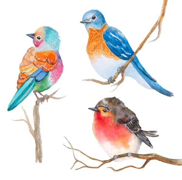 Uppsättning Akvarell Fåglar Vitt — Stockfoto