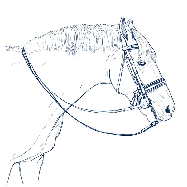 Άλογο Κεφάλι Σχέδιο Λευκό Χειροκίνητη Απεικόνιση — Διανυσματικό Αρχείο