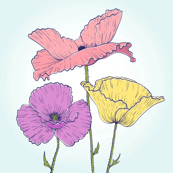 Dibujo Amapolas Púrpura Amarilla Rosa Ilustración Dibujada Mano — Archivo Imágenes Vectoriales