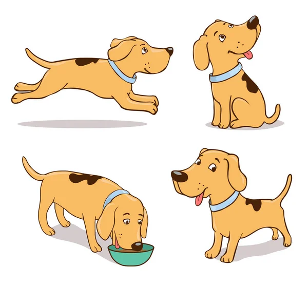 Sentado Corriendo Sonriendo Pie Comiendo Perro Dibujado Mano Diferentes Poses — Archivo Imágenes Vectoriales