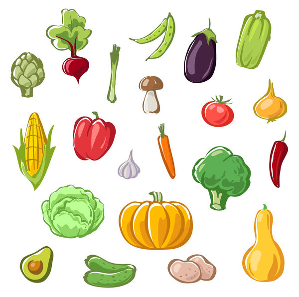 Коллекция свежих овощей. векторная иллюстрация