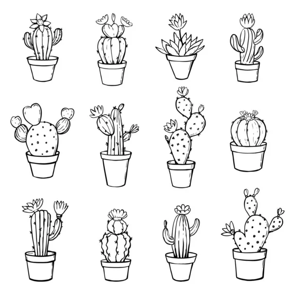 Lindo Cactus Dibujado Mano Macetas Conjunto Ilustración Vectorial — Archivo Imágenes Vectoriales