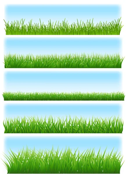 Grünes Gras Und Himmel Auf Weißem Hintergrund Vektorillustration — Stockvektor