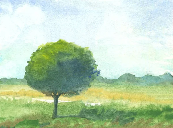 Akvarel Krajina Stromem Pole Zatažená Obloha Ručně Malovat Venkovské Pozadí — Stock fotografie