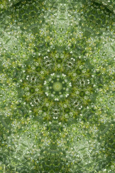 Fondo verde abstracto, hojas verdes con efecto caleidoscopio — Foto de Stock