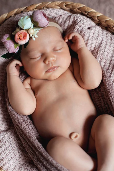 Retrato de cerca de una niña recién nacida de 10 días durmiendo en la cesta . —  Fotos de Stock