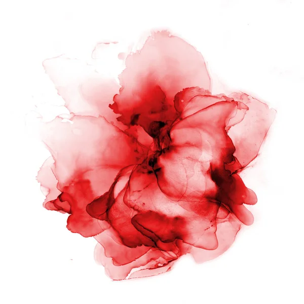 Λεπτή ζωγραφισμένη στο χέρι ακουαρέλα λουλούδι σε κόκκινους τόνους. Τέχνη από μελάνι αλκοόλ. Εικονογράφηση κορμού. — Φωτογραφία Αρχείου