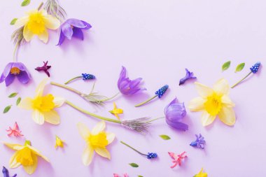 spring flowers on paper background clipart