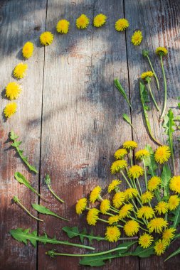 Dandelions eski ahşap zemin üzerine