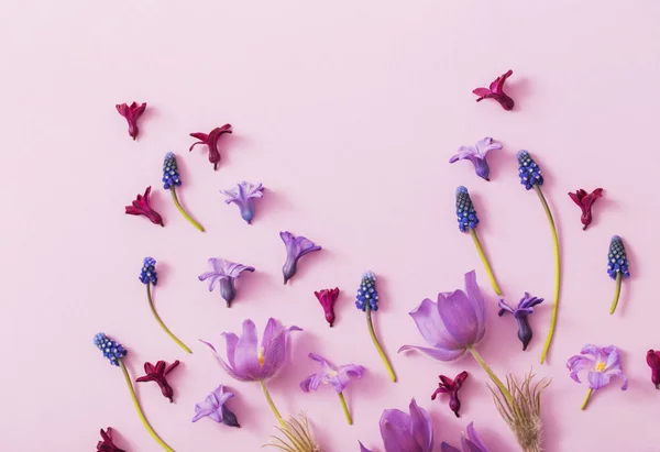 Bunga Musim Semi Latar Belakang Kertas — Stok Foto