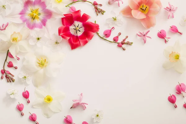 Våren Blommor Vit Bakgrund — Stockfoto