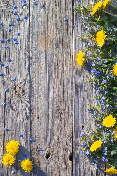 Flores Azules Amarillas Sobre Fondo Madera Viejo —  Fotos de Stock