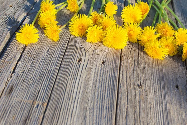 Diente León Sobre Fondo Madera Viejo —  Fotos de Stock