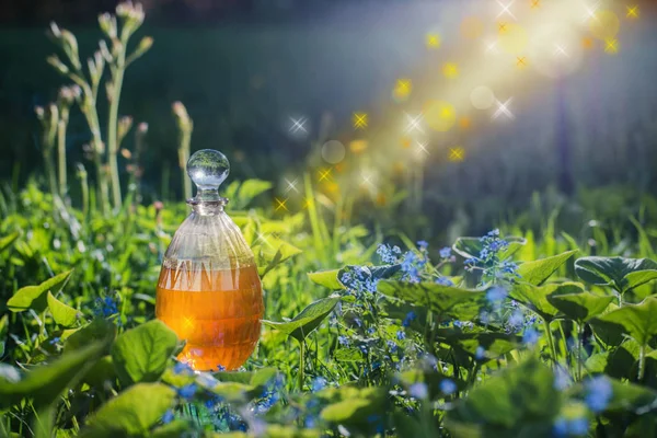 Magic Potion Bottle Outdoor — Stock Photo, Image