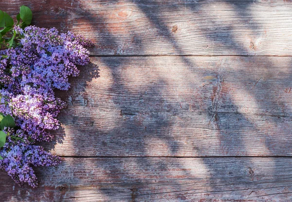 Lilac Old Wooden Background Sunlight — Stock Photo, Image