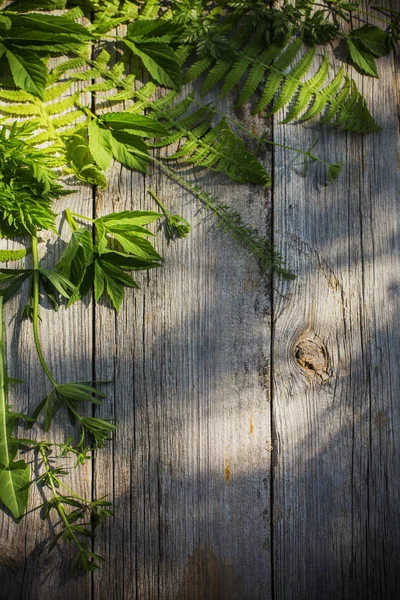 Hojas Verdes Sobre Fondo Madera Viejo —  Fotos de Stock