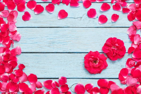 Rosa Roja Sobre Fondo Azul Madera —  Fotos de Stock