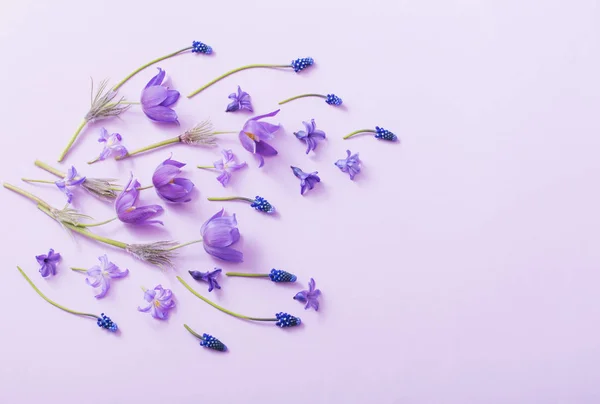 Spring Flowers Paper Background — Stock Photo, Image