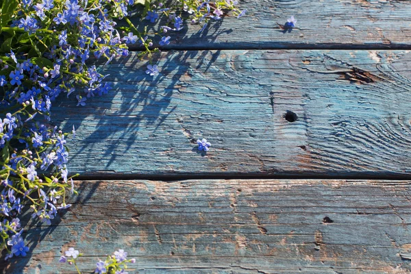 Blaue Blumen Auf Altem Hölzernen Hintergrund — Stockfoto