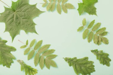 Kağıt arkaplanda yeşil yapraklar